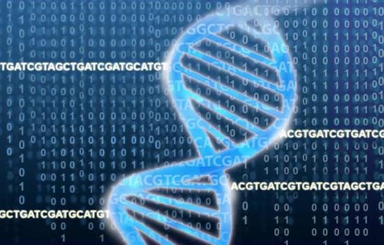 Chinese Academy of Sciences Gene Big Data Project